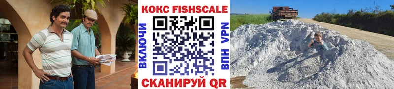 COCAIN FishScale  Купить  Суровикино 