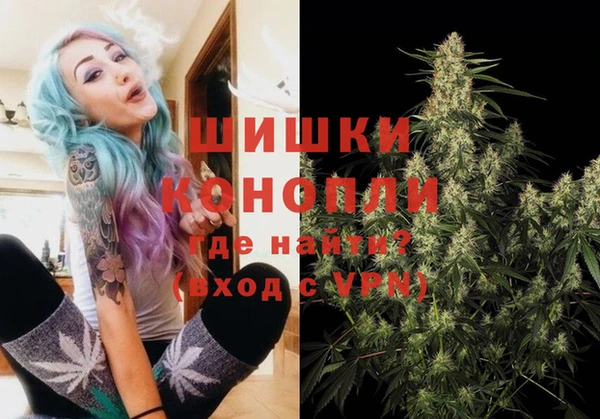 ПСИЛОЦИБИНОВЫЕ ГРИБЫ Краснослободск