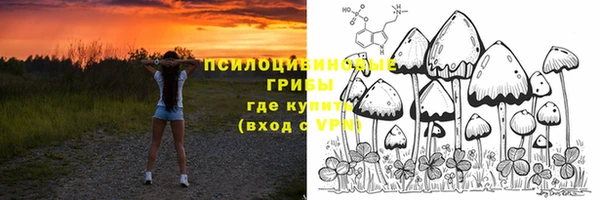 стаф Коряжма